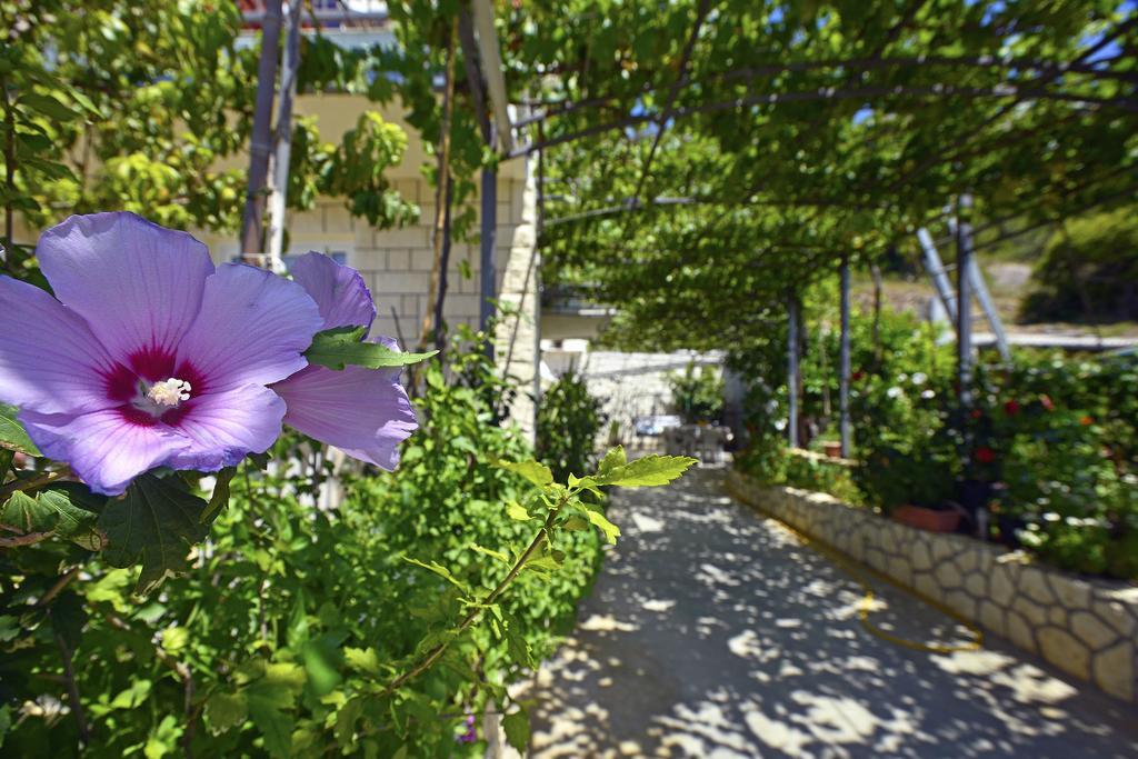 חוואר Apartments Micic מראה חיצוני תמונה