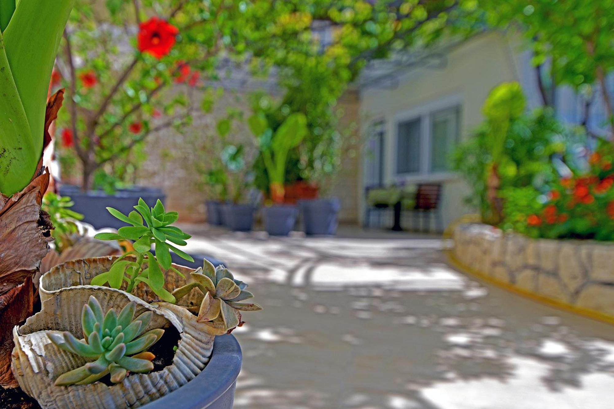 חוואר Apartments Micic מראה חיצוני תמונה